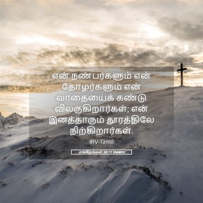 Picture 05 - சங்கீதங்கள் 38:11 TAMIRV - என் நண்பர்களும் - Bible Verse Picture