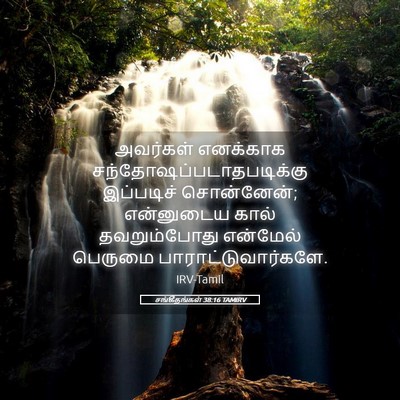 Picture 05 - சங்கீதங்கள் 38:16 TAMIRV - அவர்கள் எனக்காக - Bible Verse Picture