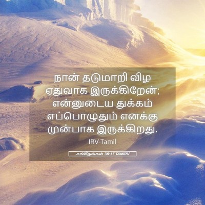 Picture 05 - சங்கீதங்கள் 38:17 TAMIRV - நான் தடுமாறி விழ - Bible Verse Picture