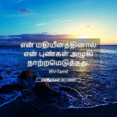 Picture 05 - சங்கீதங்கள் 38:5 TAMIRV - என் - Bible Verse Picture