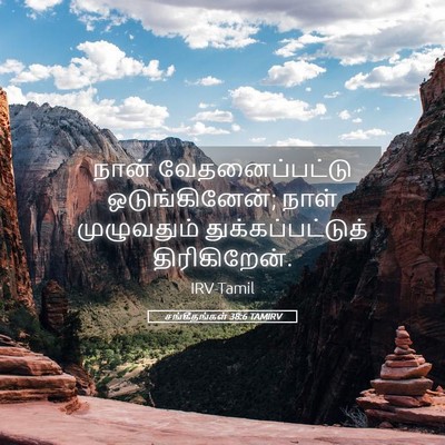 Picture 05 - சங்கீதங்கள் 38:6 TAMIRV - நான் வேதனைப்பட்டு - Bible Verse Picture