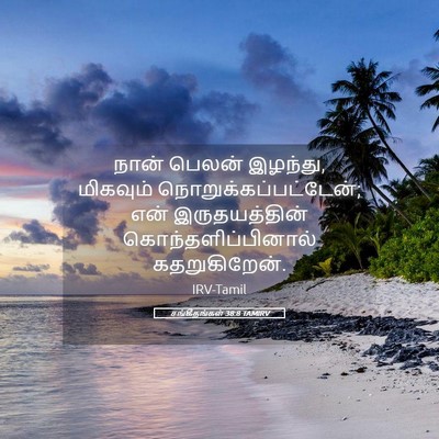 Picture 05 - சங்கீதங்கள் 38:8 TAMIRV - நான் பெலன் இழந்து, - Bible Verse Picture