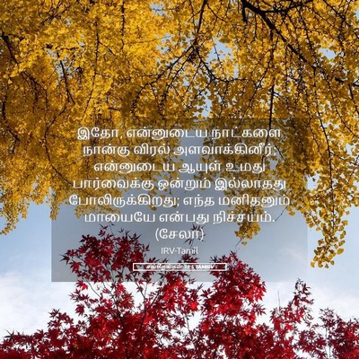 Picture 05 - சங்கீதங்கள் 39:5 TAMIRV - இதோ, என்னுடைய - Bible Verse Picture