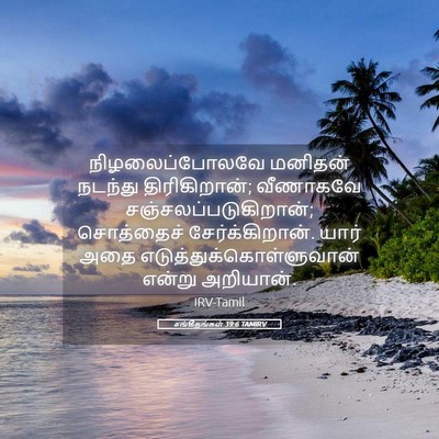Picture 05 - சங்கீதங்கள் 39:6 TAMIRV - நிழலைப்போலவே - Bible Verse Picture