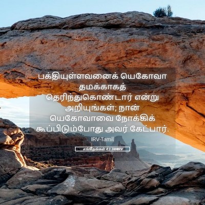 Picture 05 - சங்கீதங்கள் 4:3 TAMIRV - பக்தியுள்ளவனைக் - Bible Verse Picture