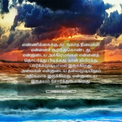 Picture 05 - சங்கீதங்கள் 40:12 TAMIRV - எண்ணிக்கைக்கு - Bible Verse Picture