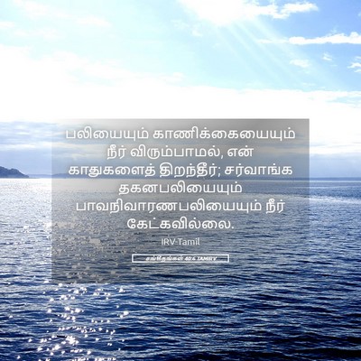 Picture 05 - சங்கீதங்கள் 40:6 TAMIRV - பலியையும் - Bible Verse Picture