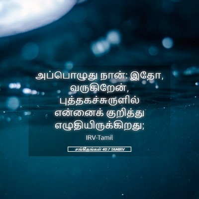 Picture 05 - சங்கீதங்கள் 40:7 TAMIRV - அப்பொழுது நான்: - Bible Verse Picture