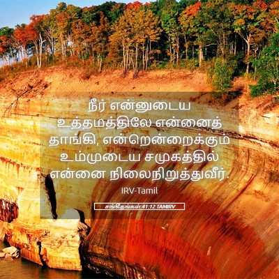 Picture 05 - சங்கீதங்கள் 41:12 TAMIRV - நீர் என்னுடைய - Bible Verse Picture