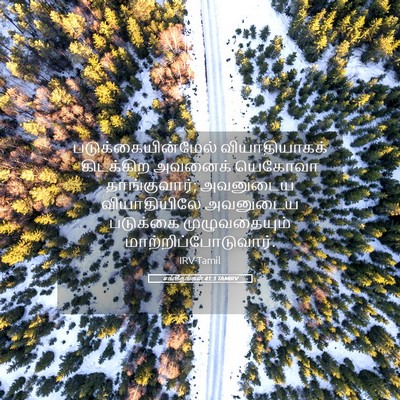 Picture 05 - சங்கீதங்கள் 41:3 TAMIRV - படுக்கையின்மேல் - Bible Verse Picture