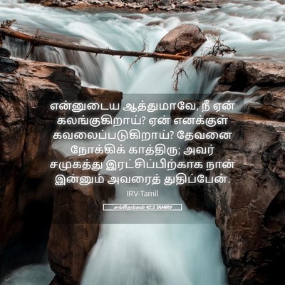 Picture 05 - சங்கீதங்கள் 42:5 TAMIRV - என்னுடைய - Bible Verse Picture