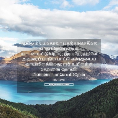 Picture 05 - சங்கீதங்கள் 42:8 TAMIRV - ஆகிலும் யெகோவா - Bible Verse Picture