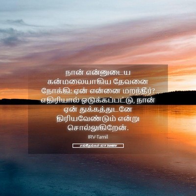 Picture 05 - சங்கீதங்கள் 42:9 TAMIRV - நான் என்னுடைய - Bible Verse Picture
