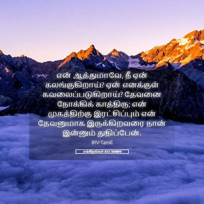 Picture 05 - சங்கீதங்கள் 43:5 TAMIRV - என் ஆத்துமாவே, நீ - Bible Verse Picture