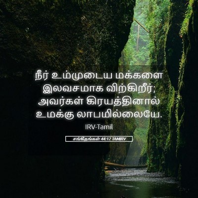 Picture 05 - சங்கீதங்கள் 44:12 TAMIRV - நீர் உம்முடைய - Bible Verse Picture