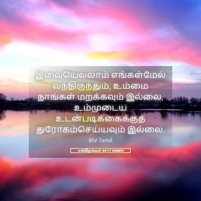Picture 05 - சங்கீதங்கள் 44:17 TAMIRV - இவையெல்லாம் - Bible Verse Picture