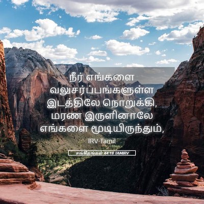 Picture 05 - சங்கீதங்கள் 44:18 TAMIRV - நீர் எங்களை - Bible Verse Picture