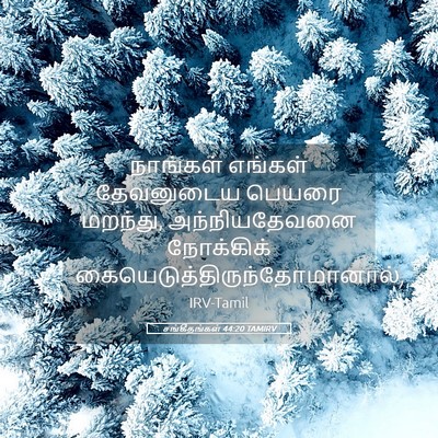 Picture 05 - சங்கீதங்கள் 44:20 TAMIRV - நாங்கள் எங்கள் - Bible Verse Picture