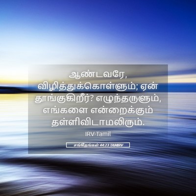 Picture 05 - சங்கீதங்கள் 44:23 TAMIRV - ஆண்டவரே, - Bible Verse Picture
