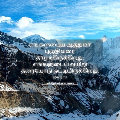 Picture 05 - சங்கீதங்கள் 44:25 TAMIRV - எங்களுடைய ஆத்துமா - Bible Verse Picture