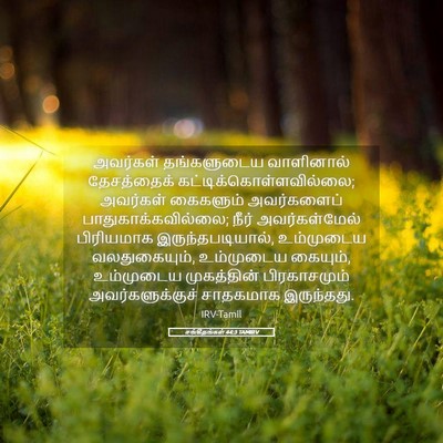 Picture 05 - சங்கீதங்கள் 44:3 TAMIRV - அவர்கள் தங்களுடைய - Bible Verse Picture