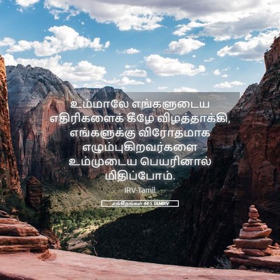 Picture 05 - சங்கீதங்கள் 44:5 TAMIRV - உம்மாலே எங்களுடைய - Bible Verse Picture