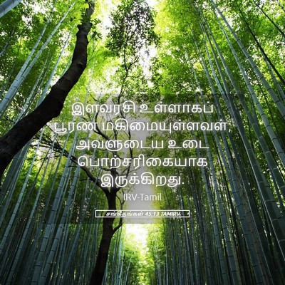 Picture 05 - சங்கீதங்கள் 45:13 TAMIRV - இளவரசி உள்ளாகப் - Bible Verse Picture