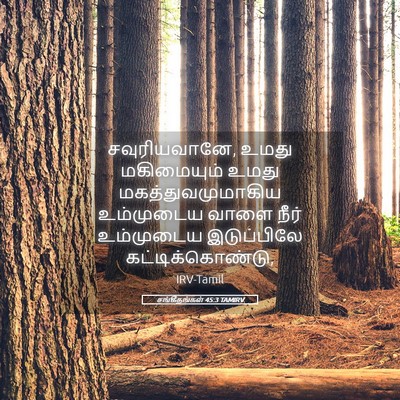 Picture 05 - சங்கீதங்கள் 45:3 TAMIRV - சவுரியவானே, உமது - Bible Verse Picture