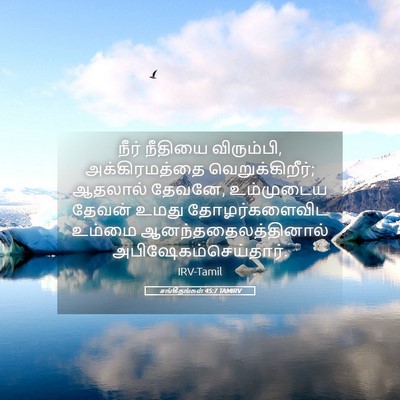 Picture 05 - சங்கீதங்கள் 45:7 TAMIRV - நீர் நீதியை - Bible Verse Picture