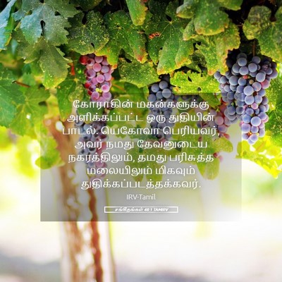 Picture 05 - சங்கீதங்கள் 48:1 TAMIRV - கோராகின் - Bible Verse Picture