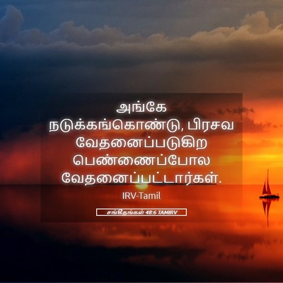 Picture 05 - சங்கீதங்கள் 48:6 TAMIRV - அங்கே - Bible Verse Picture