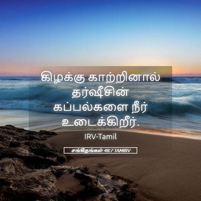 Picture 05 - சங்கீதங்கள் 48:7 TAMIRV - கிழக்கு - Bible Verse Picture