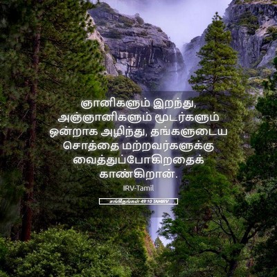 Picture 05 - சங்கீதங்கள் 49:10 TAMIRV - ஞானிகளும் இறந்து, - Bible Verse Picture