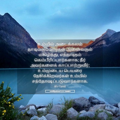 Picture 05 - சங்கீதங்கள் 5:11 TAMIRV - உம்மில் அடைக்கலம் - Bible Verse Picture