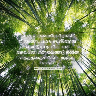 Picture 05 - சங்கீதங்கள் 5:2 TAMIRV - நான் உம்மையே - Bible Verse Picture
