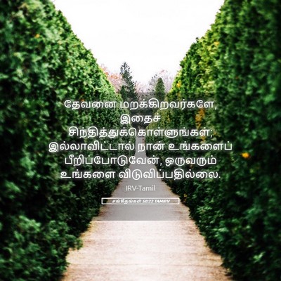 Picture 05 - சங்கீதங்கள் 50:22 TAMIRV - தேவனை - Bible Verse Picture