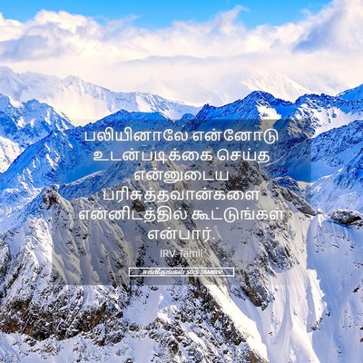 Picture 05 - சங்கீதங்கள் 50:5 TAMIRV - பலியினாலே என்னோடு - Bible Verse Picture