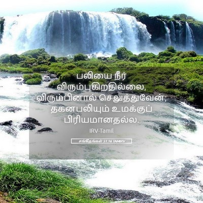 Picture 05 - சங்கீதங்கள் 51:16 TAMIRV - பலியை நீர் - Bible Verse Picture