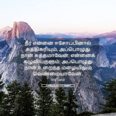 Picture 05 - சங்கீதங்கள் 51:7 TAMIRV - நீர் என்னை - Bible Verse Picture