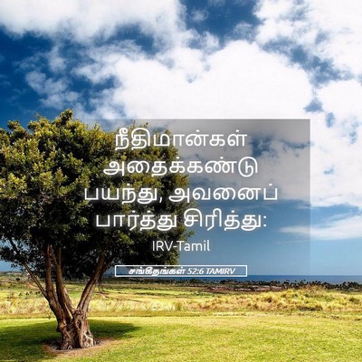 Picture 05 - சங்கீதங்கள் 52:6 TAMIRV - நீதிமான்கள் - Bible Verse Picture