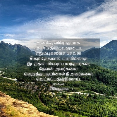 Picture 05 - சங்கீதங்கள் 53:5 TAMIRV - உனக்கு விரோதமாக - Bible Verse Picture