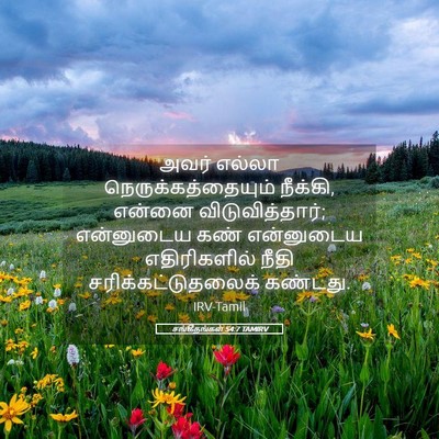 Picture 05 - சங்கீதங்கள் 54:7 TAMIRV - அவர் எல்லா - Bible Verse Picture