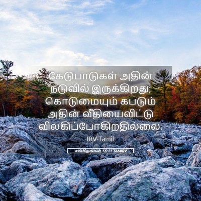 Picture 05 - சங்கீதங்கள் 55:11 TAMIRV - கேடுபாடுகள் அதின் - Bible Verse Picture