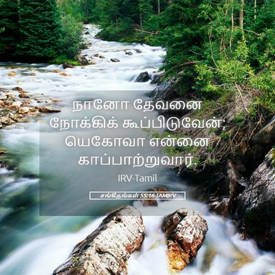 Picture 05 - சங்கீதங்கள் 55:16 TAMIRV - நானோ தேவனை - Bible Verse Picture