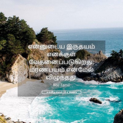 Picture 05 - சங்கீதங்கள் 55:4 TAMIRV - என்னுடைய இருதயம் - Bible Verse Picture