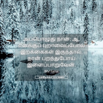 Picture 05 - சங்கீதங்கள் 55:6 TAMIRV - அப்பொழுது நான்: ஆ, - Bible Verse Picture