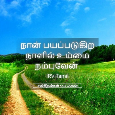 Picture 05 - சங்கீதங்கள் 56:3 TAMIRV - நான் பயப்படுகிற - Bible Verse Picture