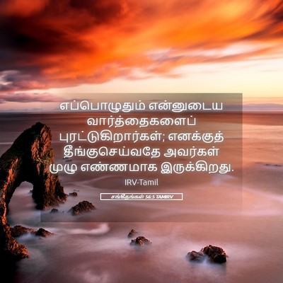 Picture 05 - சங்கீதங்கள் 56:5 TAMIRV - எப்பொழுதும் - Bible Verse Picture