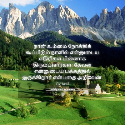 Picture 05 - சங்கீதங்கள் 56:9 TAMIRV - நான் உம்மை - Bible Verse Picture
