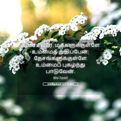 Picture 05 - சங்கீதங்கள் 57:9 TAMIRV - ஆண்டவரே, - Bible Verse Picture